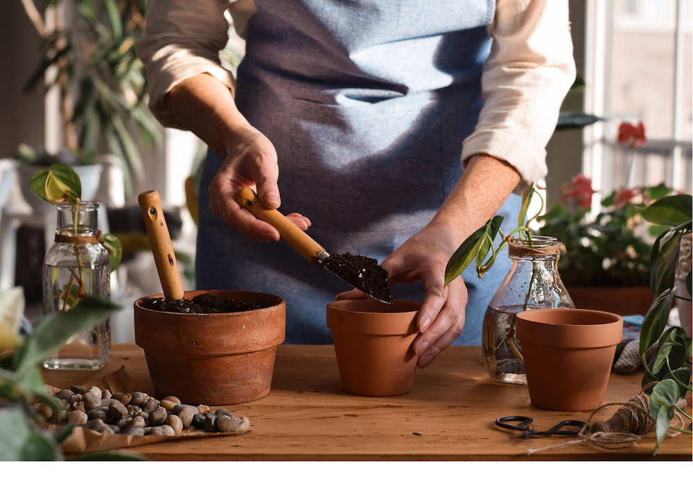 Drachten Bloeit website