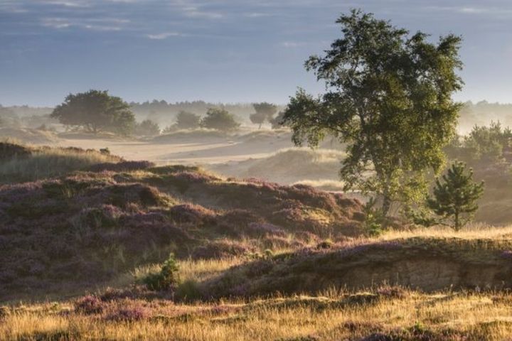 Subsidie Provincie Drenthe